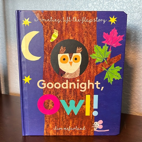 Usborne 📚 | Goodnight Owl! Counting Lift the Flap book - New - Picture 1 of 5